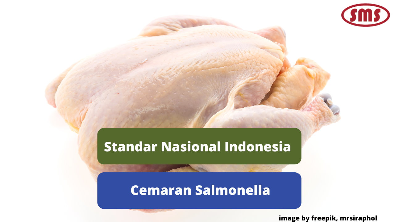 Berikut Ini Ulasan Mengenai  SNI Cemaran Salmonella Pada Daging Ayam